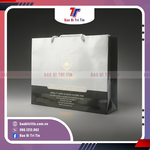 Danh mục in túi giấy