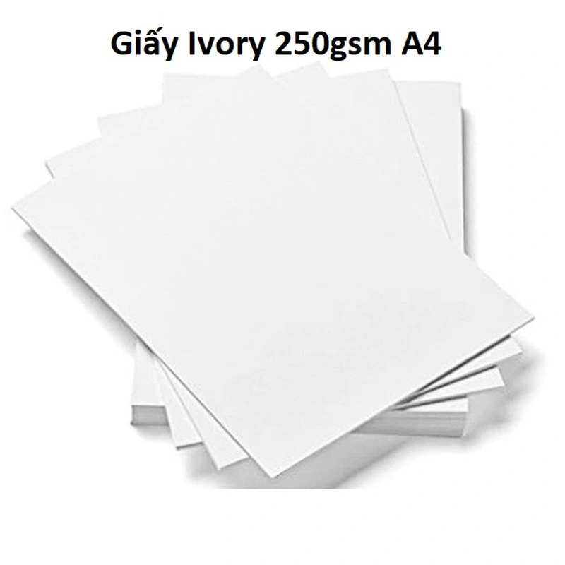 Giấy Ivory in offset định lượng 250gsm