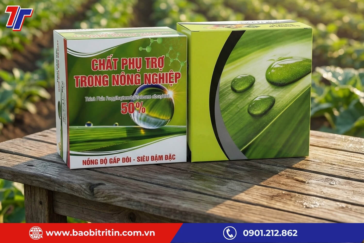 In offset được ứng dụng rộng rãi trong xuất bản, bao bì, quảng cáo và nhiều sản phẩm in thương mại khác